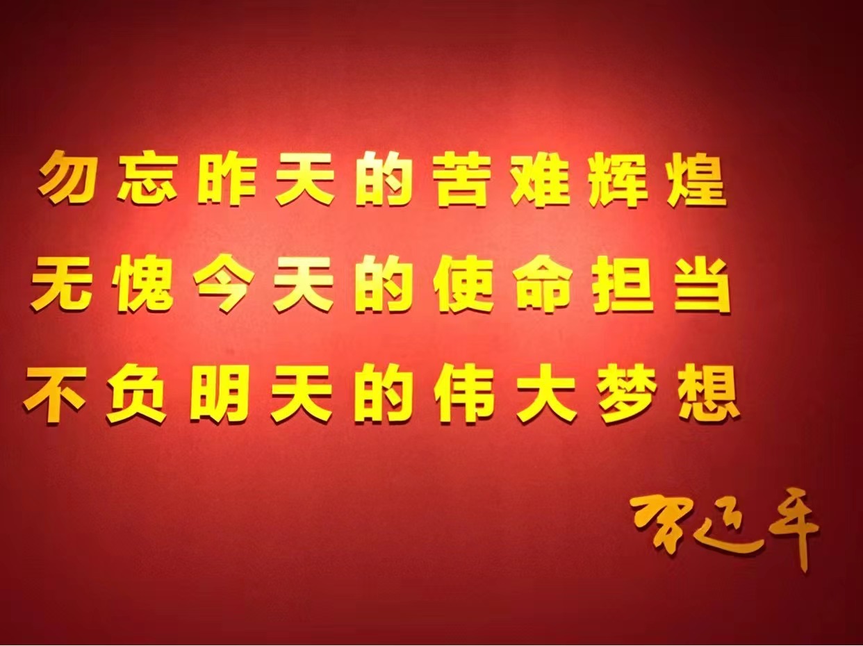 公司发展历程